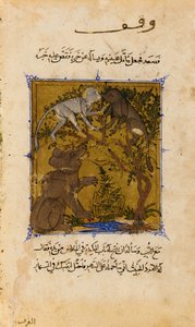 Folio da Sulwan al-Muta (Consolazione del piacere) di Ibn Zafar; verso: La storia dell